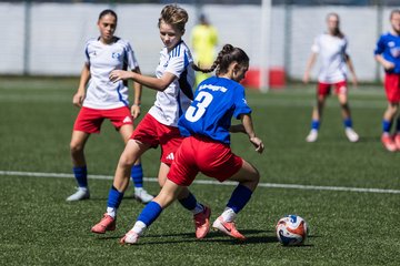 Bild 256 - wCJ Hamburger SV - FC Rosengarten : Ergebnis: 1:1